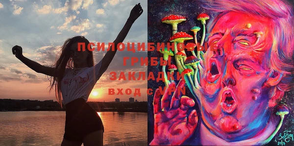 таблы Верхний Тагил