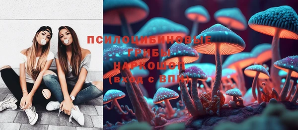 СК Верея