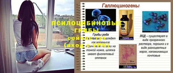 таблы Верхний Тагил